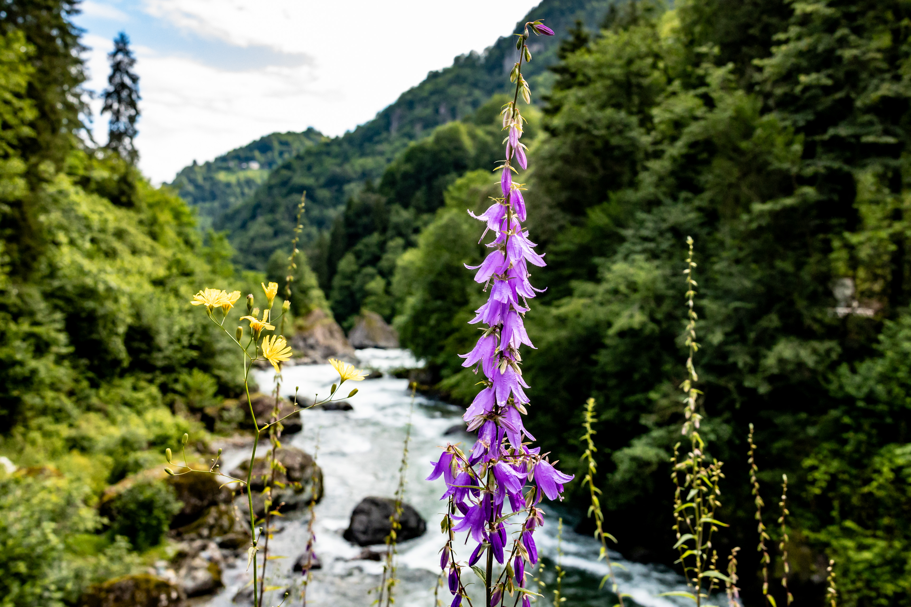 Rize Natur und Abenteuer