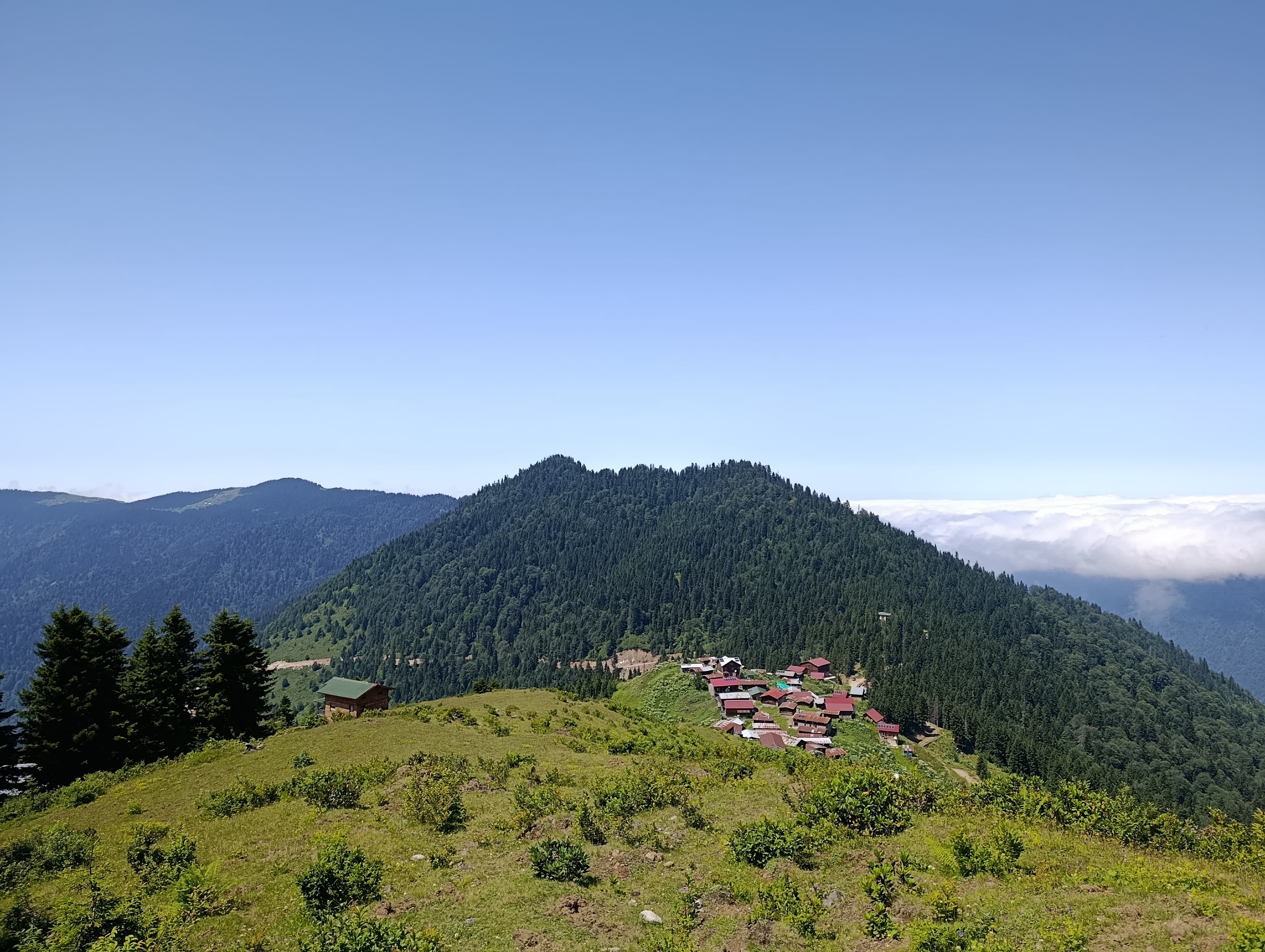 Subcategory image