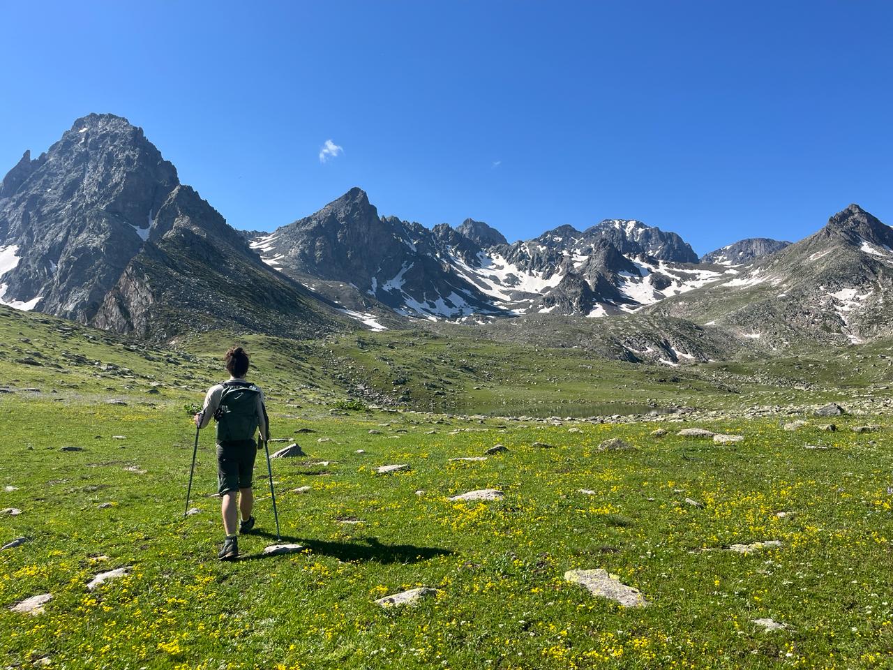 Mountain Peaks